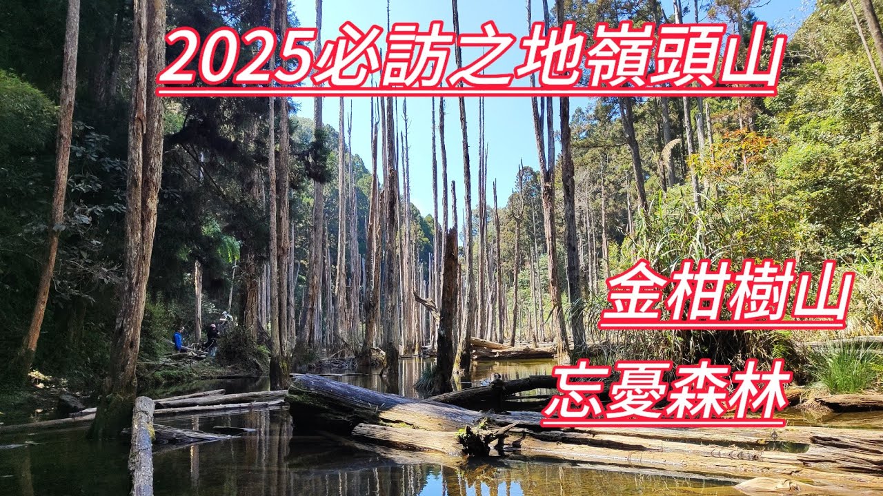 南投竹山 | 留龍頭登山口 | 嶺頭山 | 金柑樹山 | 忘憂森林 | O型走