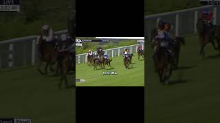 Goodwood is back and so are we! 🚀 #horseracingtips #goodwood #newmarket #horseracing #fyp