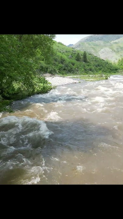 Река Большой Ильгумень Горный Алтай Bolshoy Ilgumen River Gorny Altai 2 ...