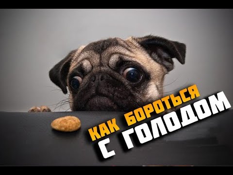 Как бороться с голодом на диете.