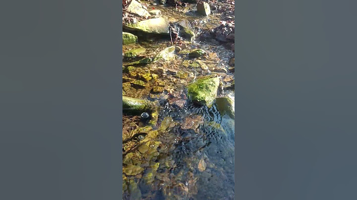 Su sesi- Sound of water