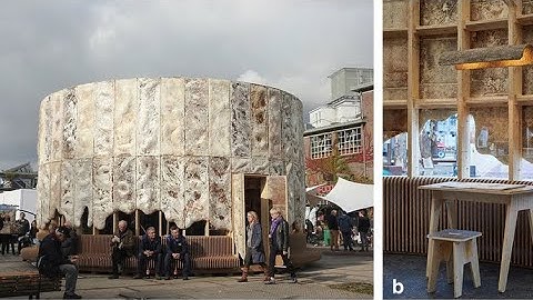 Swiss architects start to use mycotecture in constructions