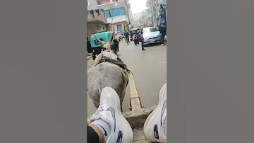 من غيرك انا رايق 