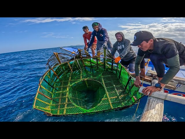 Fishing Video // Amizing Net Fishing Video // Fish Catching Trap