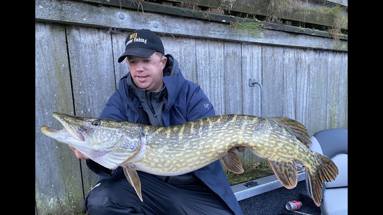 VISSEN OP GROTE SNOEK MET DOOD AAS VANUIT DE BOOT!