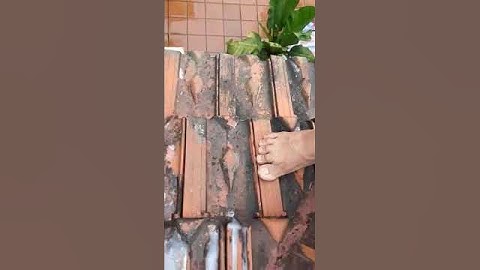 Tẩy rêu mốc cho ngói, gạch, bê tông, đá, đá, sơn nước bằng BestClean C44 của Bestmix