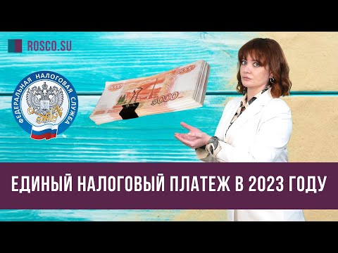 Единый налоговый платеж в 2023 году