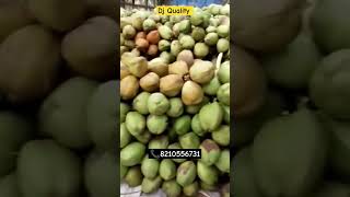 Dj Quality Tender Coconut From Tamilnadu Today Loding For Bihar Patna| Fresh Water Coconutshorts