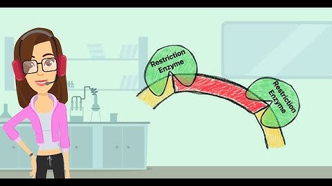 I Want Recombinant DNA (Recombinant DNA Song)