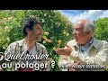 Rencontre avec alain baraton  quel rosier dans mon potager    720p