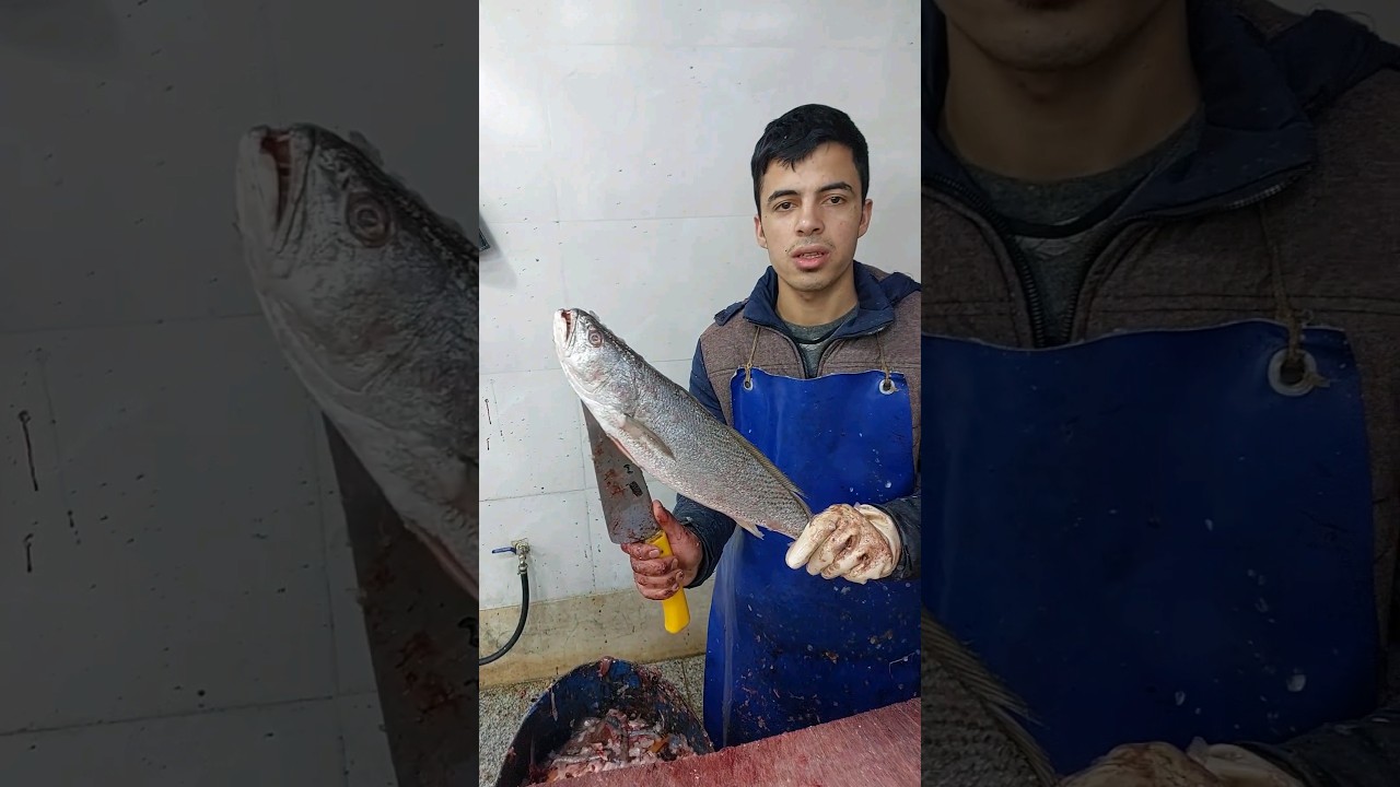 Cleaning the Tigertooth croaker fish caught in the Persian Gulf
