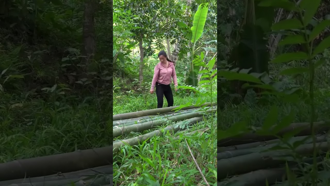Help 72 Year Old Man Retire Build a Bamboo Bridge Across The Stream To a New, Isolated Land