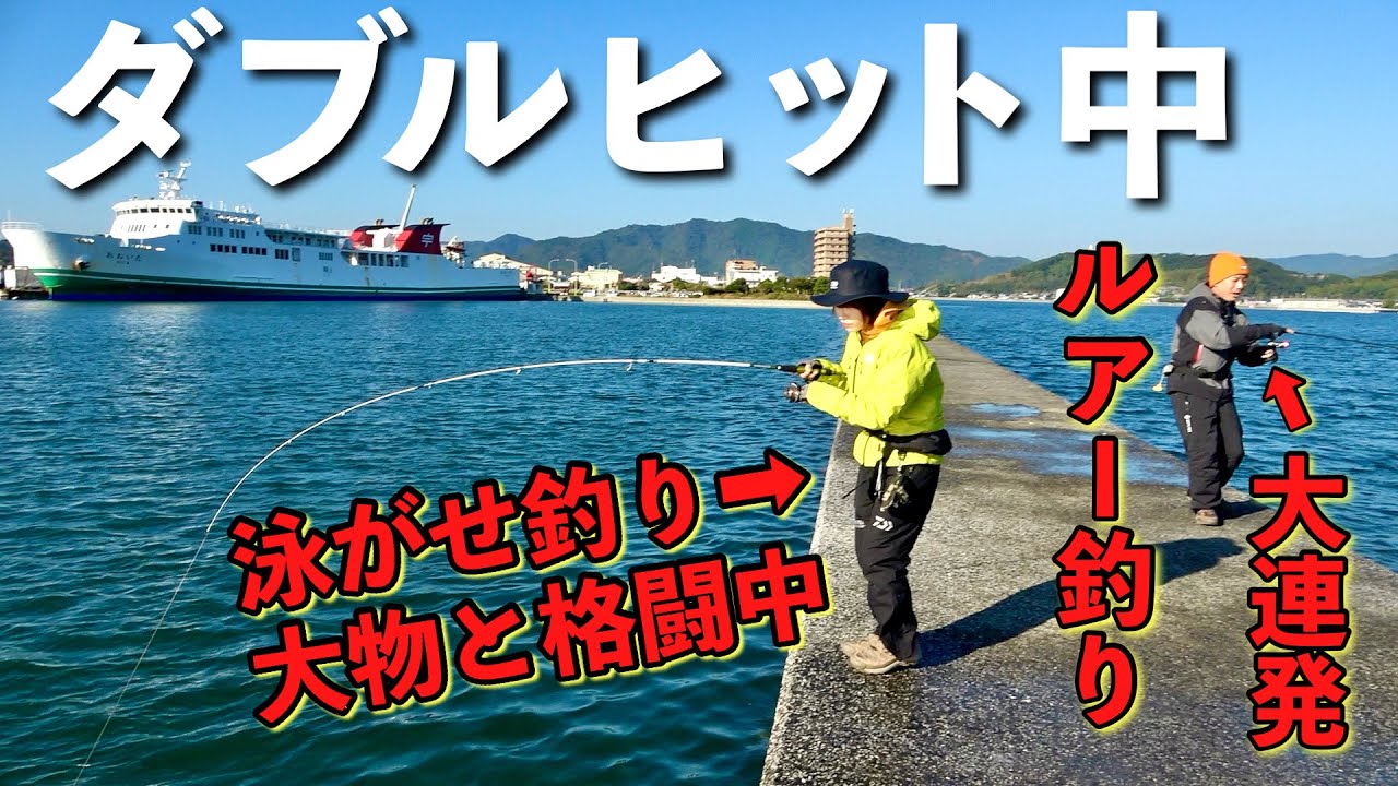 フェリー乗り場で釣りプロが対決したら大連発‼️泳がせたキスにまさかの大物が…