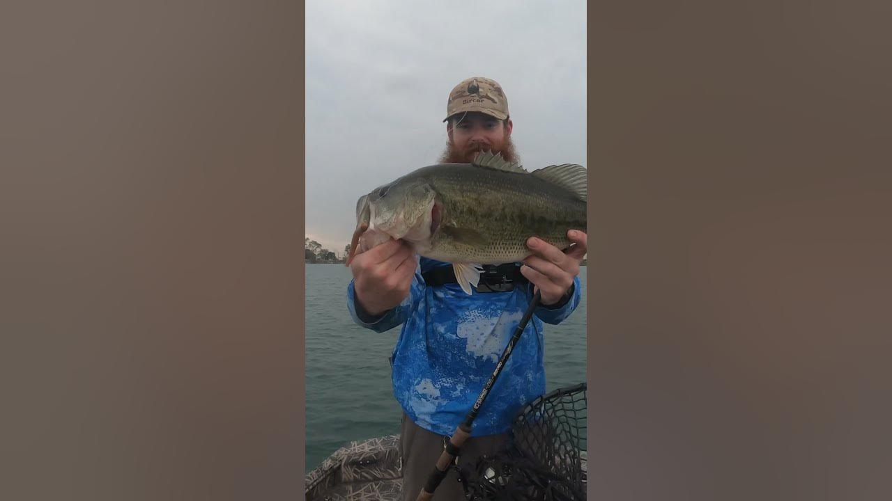 Zman Hula Stickz CATCH TOAD BASS! NED RIG fishing nedrig 