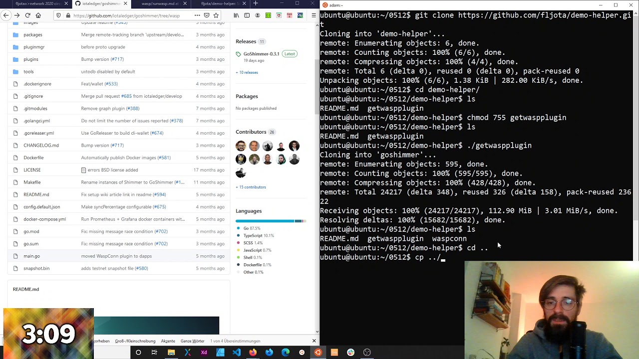 WaspConn Plugin für GoShimmer manuell nachinstallieren | fljota.network phase 0 005