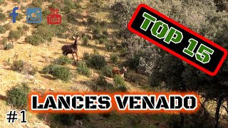 TOP 15 LANCES DE  VENADO 2020 | DEERHUNTING TOP SETS #1