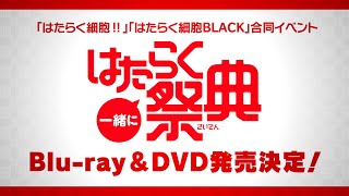 「一緒にはたらく祭典」Blu-ray＆DVD発売決定PV / 12.1 on SALE