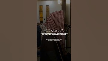 {ويل لكل أفاك أثيم}سورة الجاثية/الشيخ محمد اللحيدان