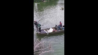 Fish bounce back after Texas floods, Texas Parks and Wildlife survey finds