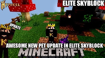 ALL NEW PET UPDATE IN ELITE SKYBLOCK AN HYPIXEL SERVER #craftersmc #satnetwork #stnetwork #wenpixel