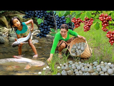 Top 2 survival videos mother with daughter catch big fish and pick duck eggs grape fruit for food