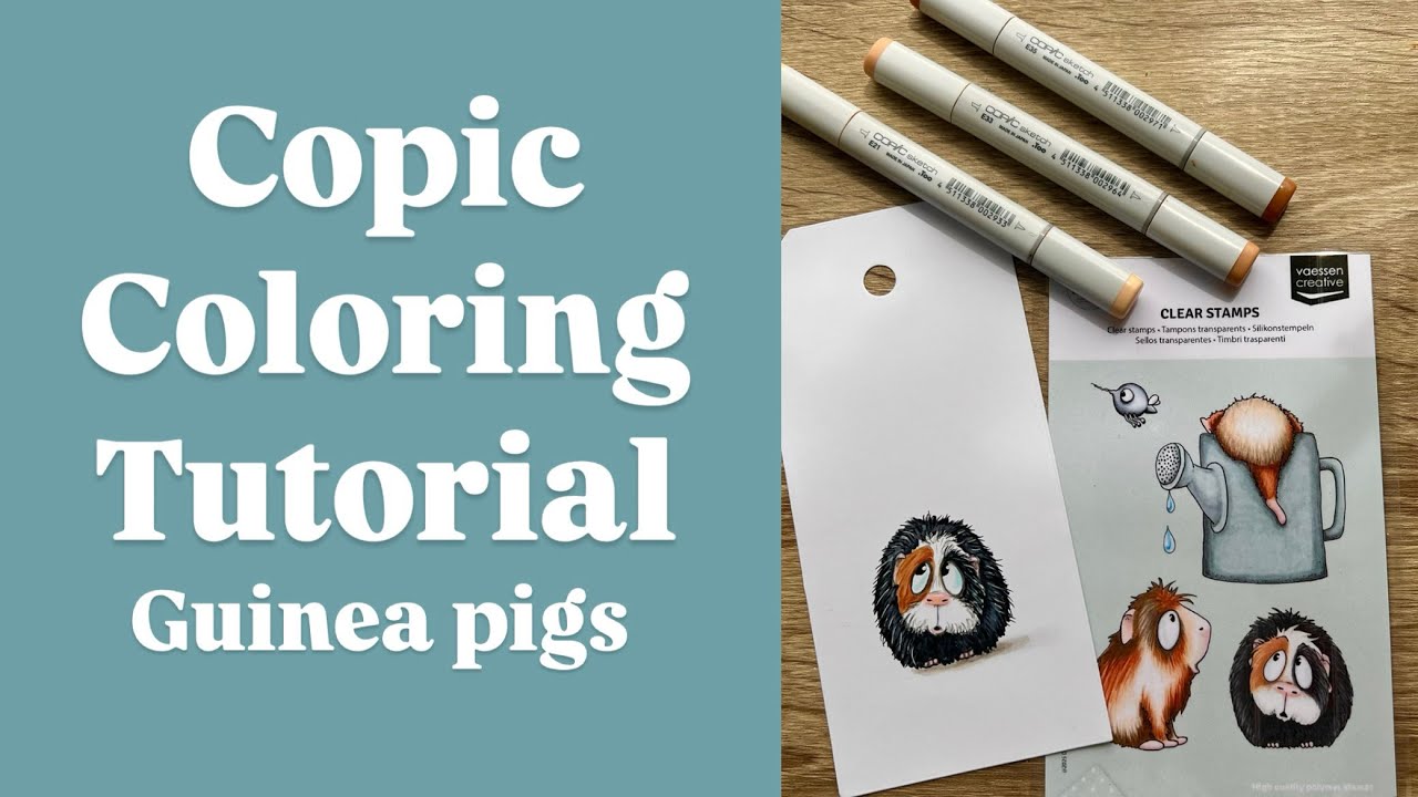 Photo inspiration: Picture Idea: Carla Creates Copic Tutorial Guinea Pigs