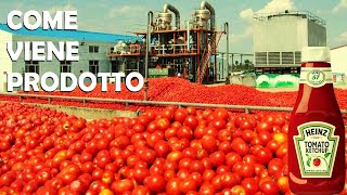 Come Viene Prodotto KETCHUP in una Fabrica, Produzione di Ketchup