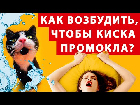 Как правильно возбудить девушку? Чтобы был оргазм - нужна прелюдия!