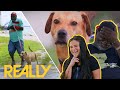 Earl Helps Train Adoptee Dog To Become The Perfect Jogging Partner | Pit Bulls &amp; Parolees