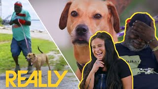 Earl Helps Train Adoptee Dog To Become The Perfect Jogging Partner | Pit Bulls & Parolees