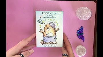 #Unboxing PIXIEKINS by Paulina Cassidy