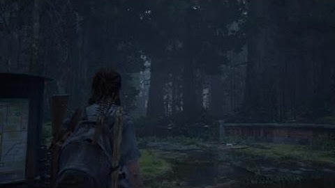 The Last of Us Part II - Part 11 - STALKERS