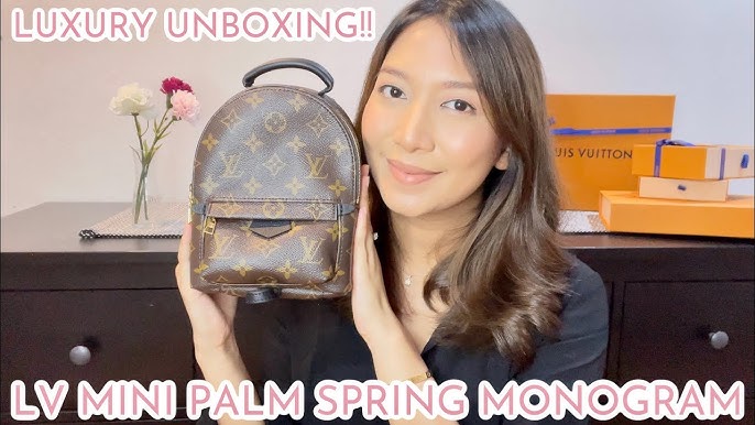 LOUIS VUITTON Palm Spring Mini Backpack Review (What Fits Inside, How to  Wear, Durability + more!) 