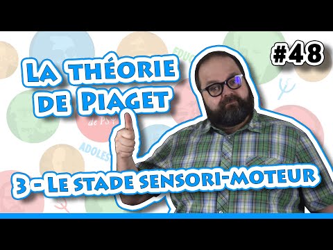 LA THÉORIE DE PIAGET (3/6 LE STADE SENSORI-MOTEUR) - 60 secondes de PSY #48