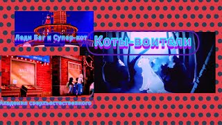 картинка: Академия сверхъестественного/Коты-воители/Леди Баг и Супер-кот/ клип/ Она вернётся/  Mband