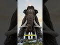 The Pyramids Were Standing — And Woolly Mammoths Were Still Alive | Primal Lore