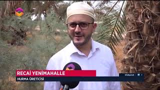Gönenli Hurma Bahçesi - Trt Di̇yanet Tv