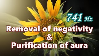 【Removal of negativity and purification of aura】 Healing Music with a 741 Hz