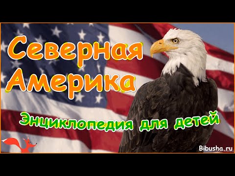 Северная Америка  - Эндиклопедия для детей "Вокруг света" от лисёнка Бибуши