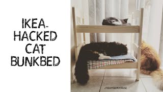 Cute Ikea Ed Bunk Bed For Cats, Pet Cat Bunk Bed Ikea