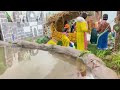 Christmas Crib | CSI St Michael's Church