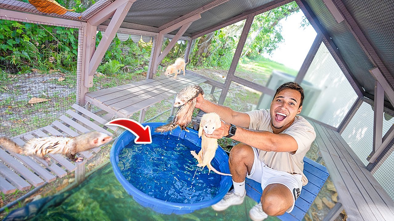 MINI LAGO PARA MEUS FURÕES NADAR da NOVA CASA