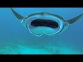 GoPro: Diving With Manta Rays