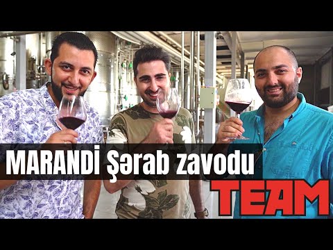 Video: Coğrafi Ad şərabı Ilə Süfrə şərabı Arasındakı Fərq Nədir?