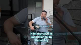 Ham Meyvaydim Kopardilar Dalından