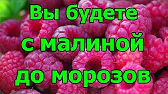 Полтавский Хуторок