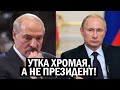 СРОЧНО! Дни Лукашенко СОЧТЕНЫ - у Беларуси ЛОПНУЛО терпение! "Батька" БЕСИТ Путина - новости