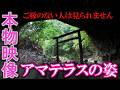 ⚠️天岩戸神社西本宮にアマテラス様が降臨しました※お姿を見られた人は岩戸開く！次々と良いことが起こり始めます※もし逃したら二度とありません｜高千穂・天岩戸神社西本宮遠隔参拝474