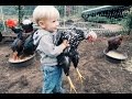 Two Year Old Catches His 1st CHICKEN!