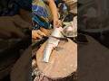 Delicious Eggs | Big Batta Fish Cutting Live In Fish Market